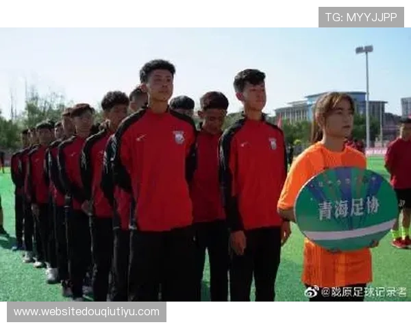 全面解析斗球体育官方版本大全的功能与使用技巧 全面解析斗球体育官方版本大全的功能与使用技巧