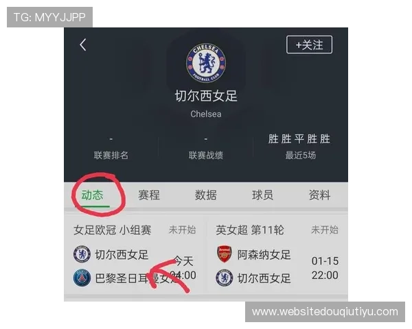 斗球app电脑版官方下载免费下载安装，开启你的精彩体育竞技之旅