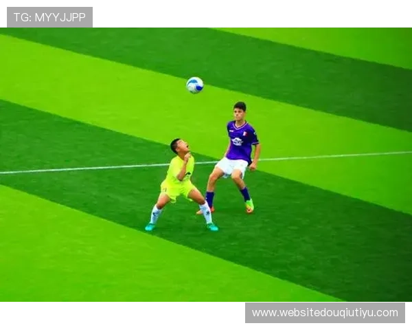 斗球下载电脑版免费安装指南，快速下载并开启精彩的足球比赛