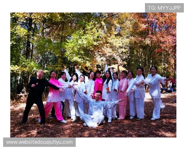 斗球官网赛事直播回放，精彩瞬间回顾与比赛精彩点评全方位呈现