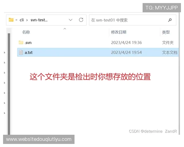 斗球网页版：最新版本更新内容及玩法技巧全面解析