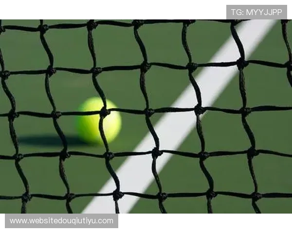 球网：适用于多种运动的多功能球网产品推荐