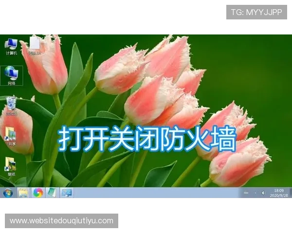 如何安全下载斗球电脑版，详细步骤和注意事项全解析