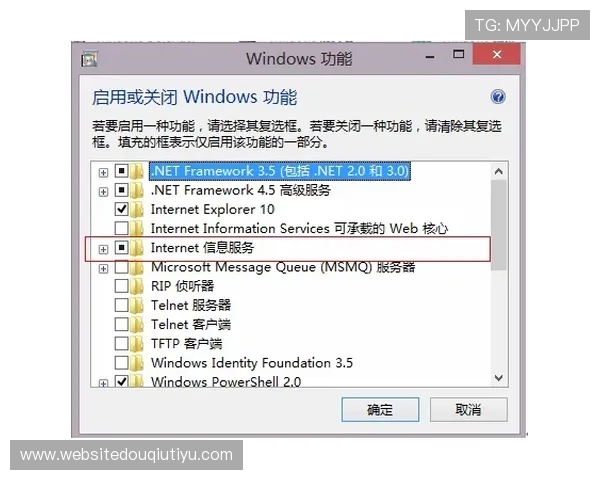 如何解决斗球体育电脑网页版无法正常打开的问题详细步骤介绍